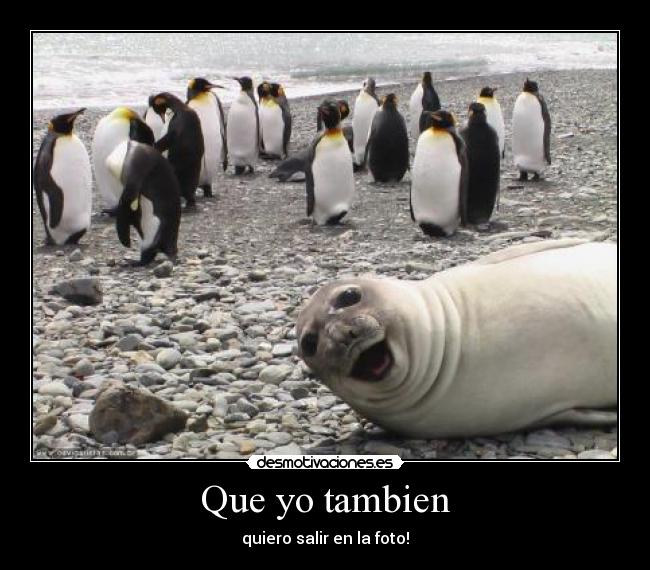 Que yo tambien - 