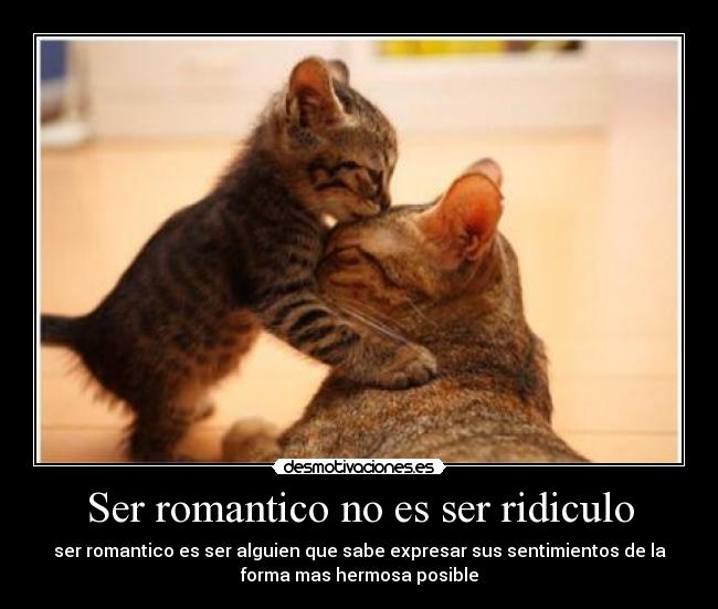 Ser romantico no es ser ridiculo - ser romantico es ser alguien que sabe expresar sus sentimientos de la
forma mas hermosa posible