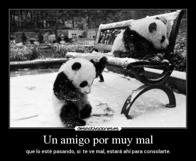 Un amigo por muy mal -