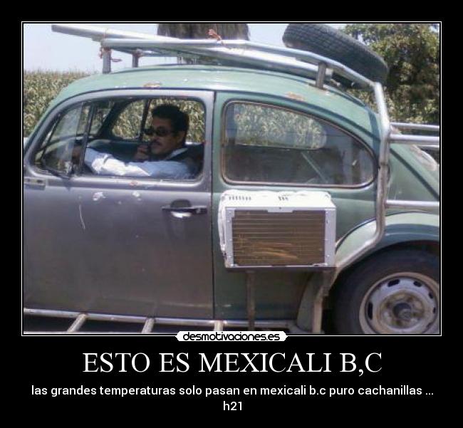ESTO ES MEXICALI B,C - las grandes temperaturas solo pasan en mexicali b.c puro cachanillas ...
h21