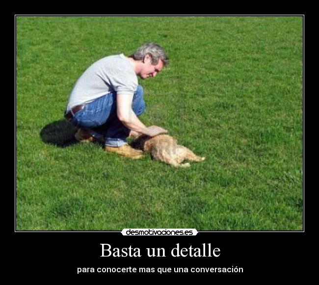 carteles detalle desmotivaciones