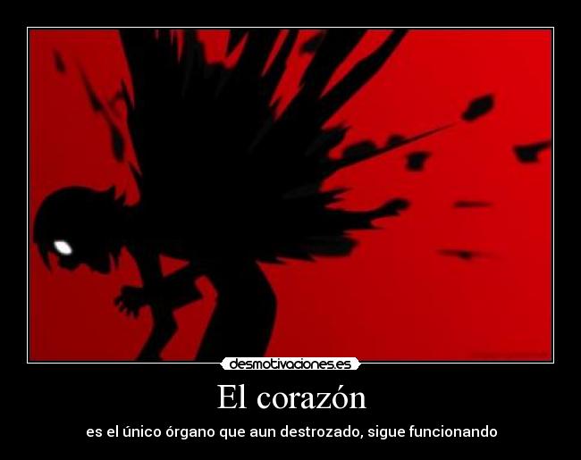 El corazón - es el único órgano que aun destrozado, sigue funcionando