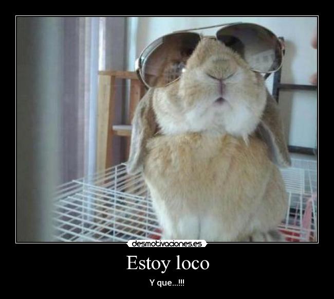 Estoy loco - Y que...!!!