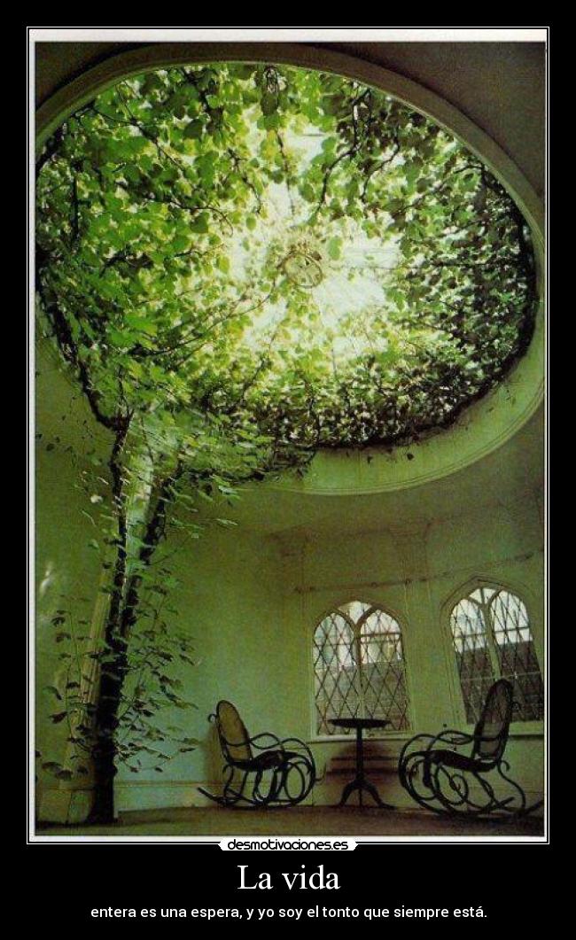 La vida - entera es una espera, y yo soy el tonto que siempre está.