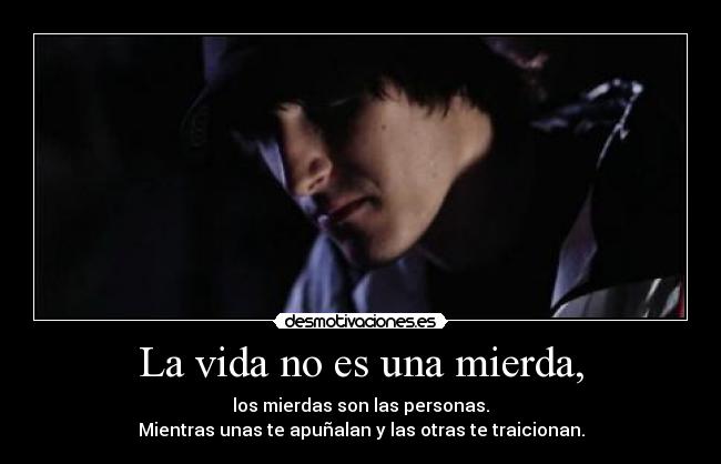 carteles vida porta desmotivaciones