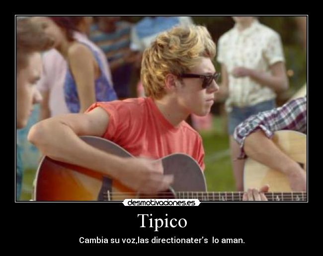 Tipico - 