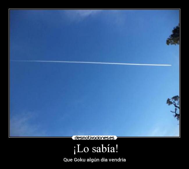¡Lo sabía! - Que Goku algún día vendría