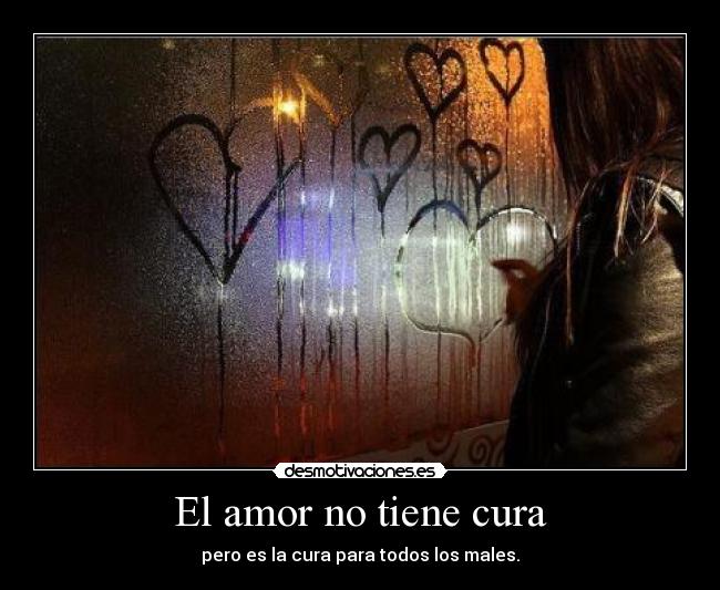 carteles amor clan catkillers desmotivaciones