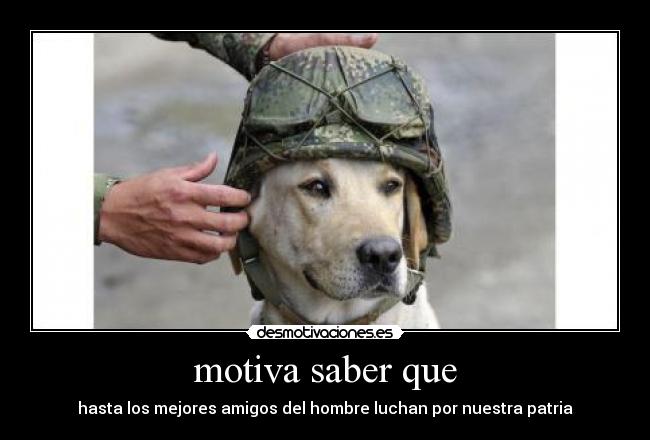 carteles faired florez desmotivaciones