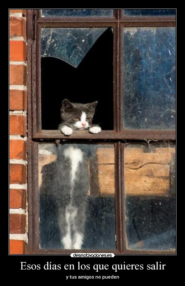 Esos días en los que quieres salir - y tus amigos no pueden