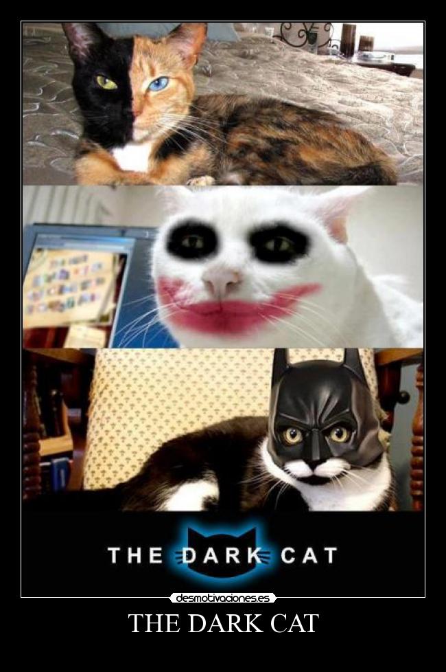THE DARK CAT -