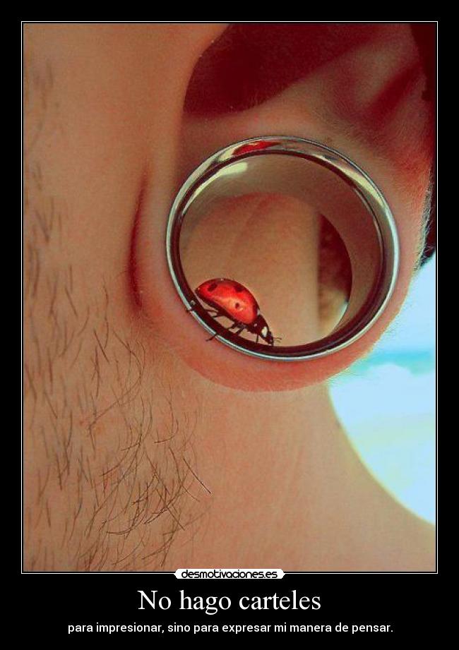 No hago carteles -