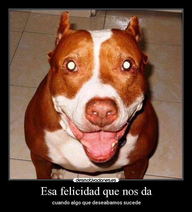 Esa felicidad que nos da -