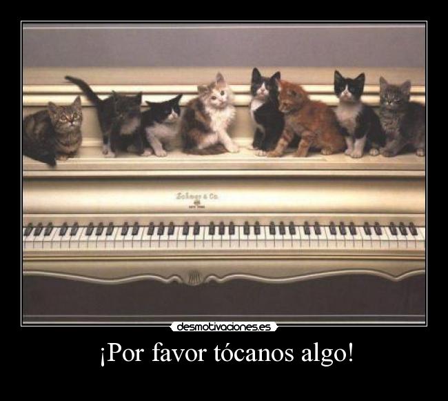 ¡Por favor tócanos algo! -