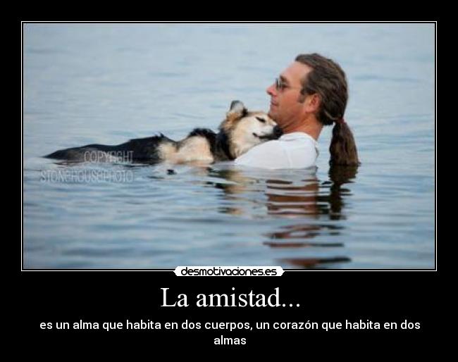La amistad... - es un alma que habita en dos cuerpos, un corazón que habita en dos almas