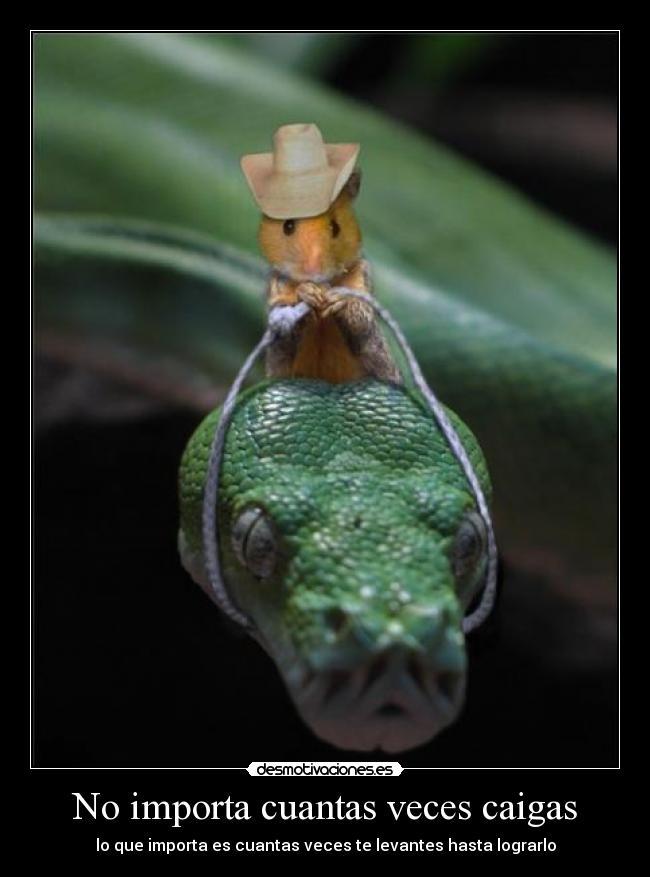 No importa cuantas veces caigas - lo que importa es cuantas veces te levantes hasta lograrlo