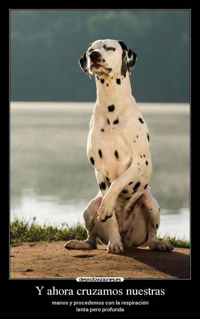 Y ahora cruzamos nuestras - manos y procedemos con la respiración
lenta pero profunda