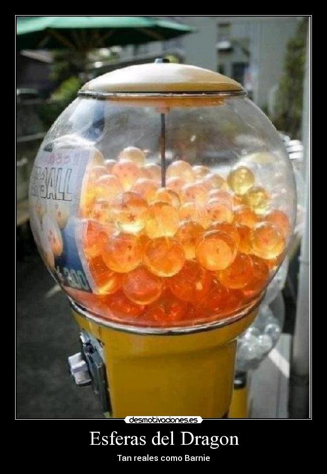 Esferas del Dragon - Tan reales como Barnie
