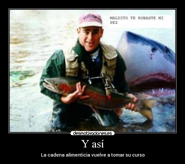 Y así - La cadena alimenticia vuelve a tomar su curso