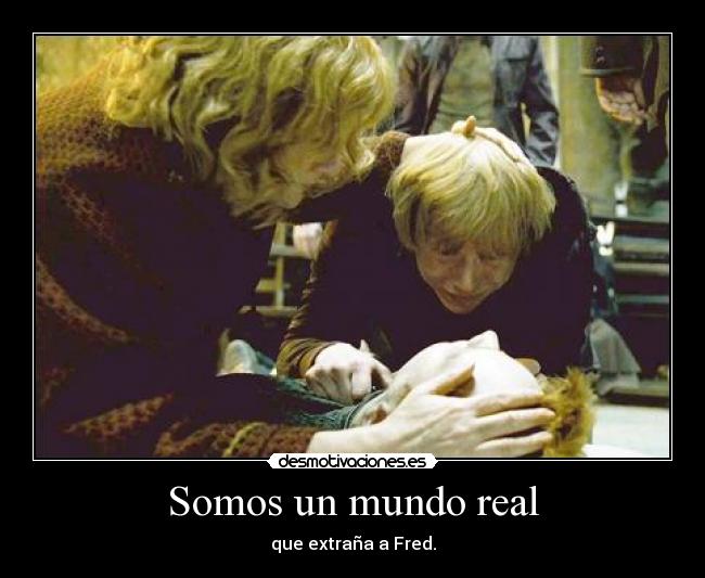Somos un mundo real -