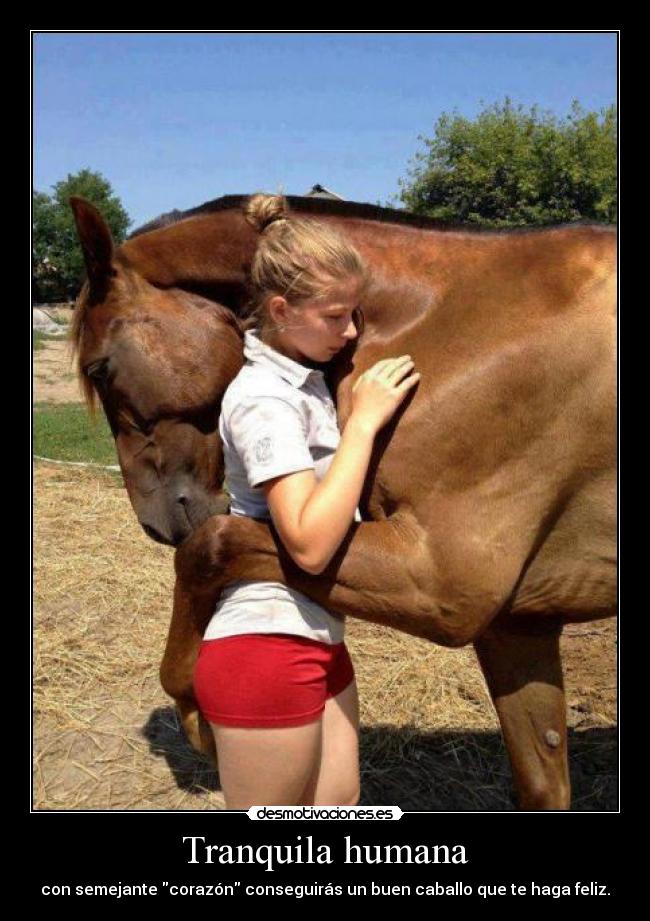 Tranquila humana - con semejante corazón conseguirás un buen caballo que te haga feliz.