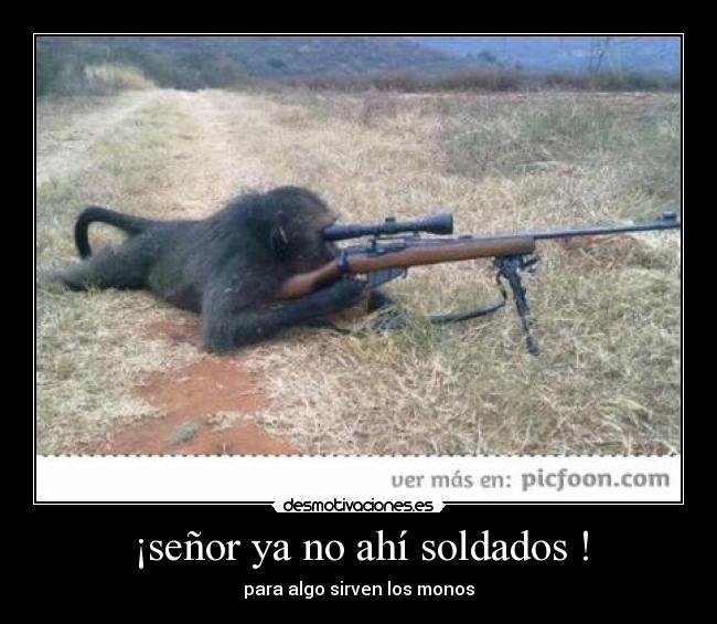 ¡señor ya no ahí soldados ! - para algo sirven los monos