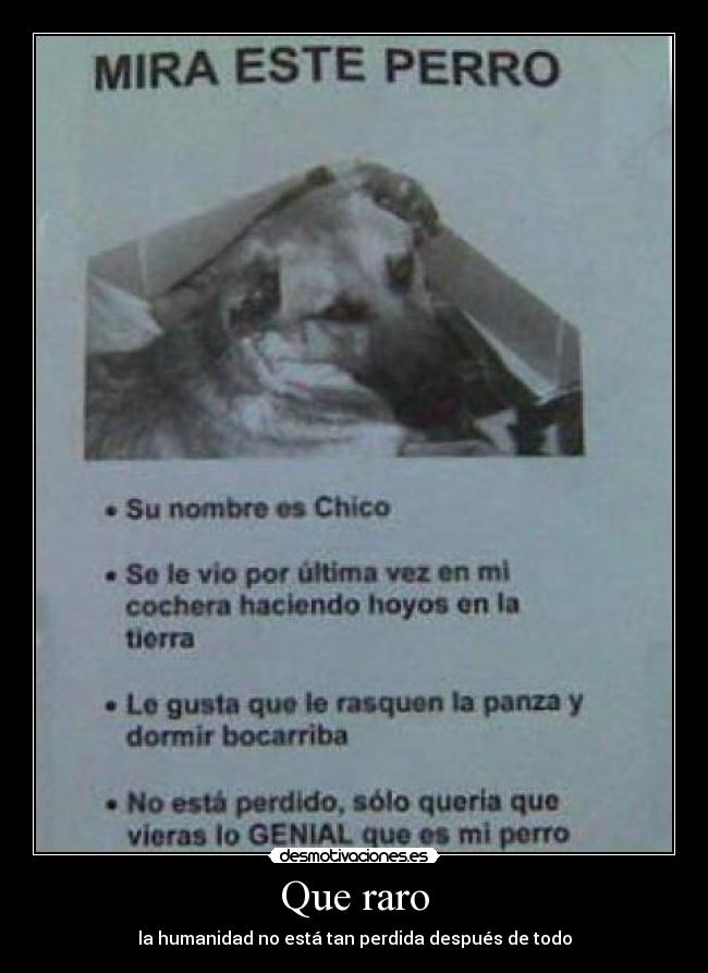 Que raro - la humanidad no está tan perdida después de todo