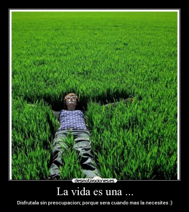 carteles vida sophiabrache desmotivaciones