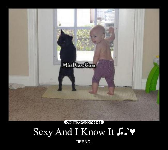 Sexy And I Know It ♫♪♥ - TIERNO!!