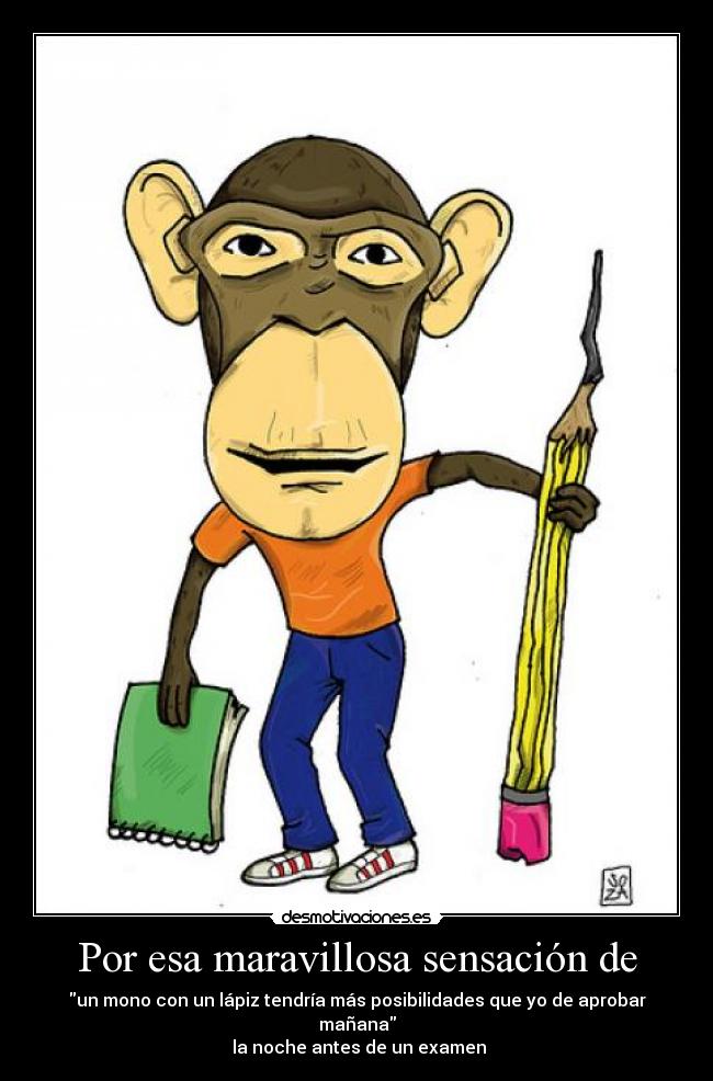 Por esa maravillosa sensación de -