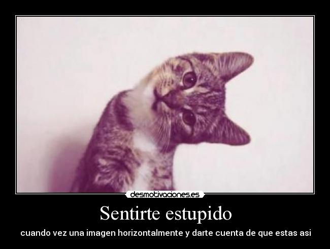 Sentirte estupido - cuando vez una imagen horizontalmente y darte cuenta de que estas asi