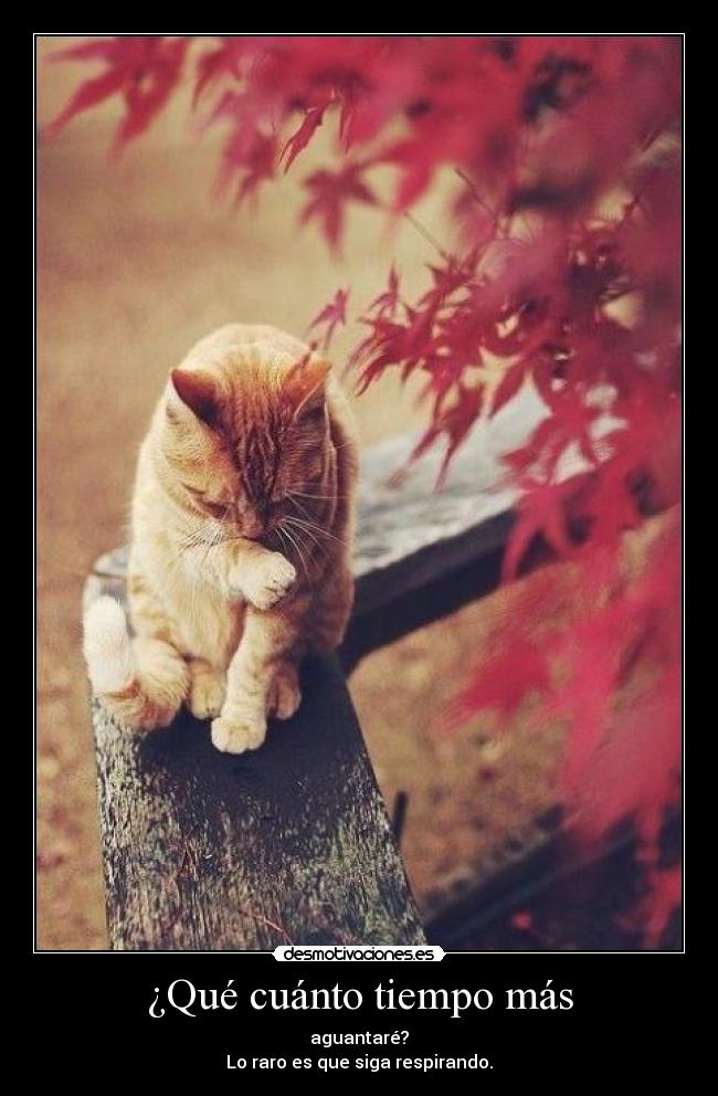 ¿Qué cuánto tiempo más -