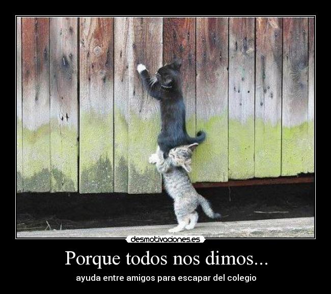 carteles fgfgf desmotivaciones