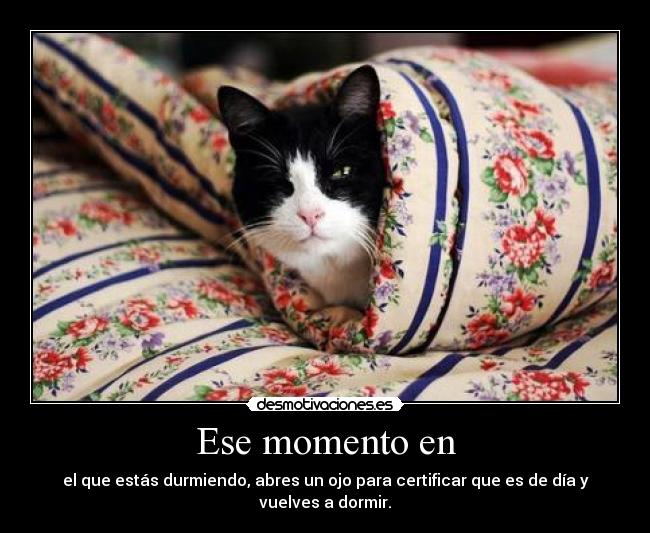 Ese momento en - el que estás durmiendo, abres un ojo para certificar que es de día y vuelves a dormir.