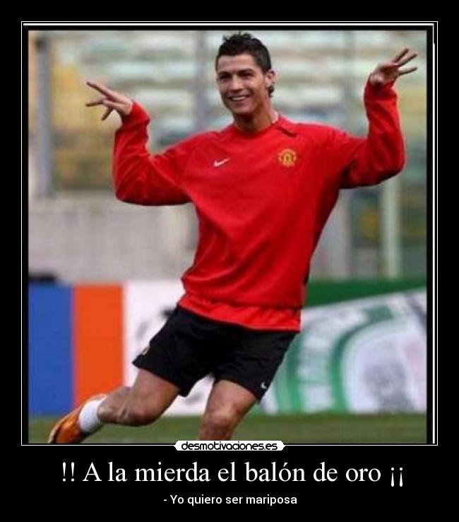 carteles mariposon desmotivaciones