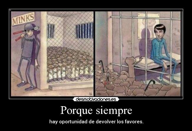 Porque siempre - hay oportunidad de devolver los favores.