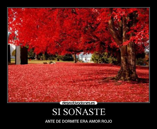SI SOÑASTE - ANTE DE DORMITE ERA AMOR ROJO