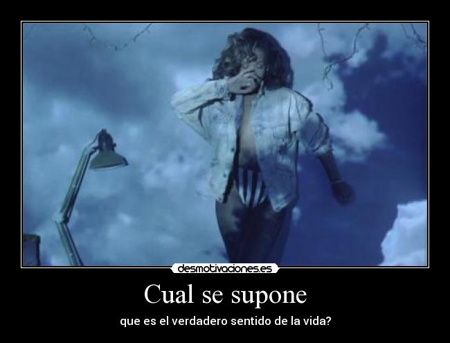 Cual se supone - que es el verdadero sentido de la vida?