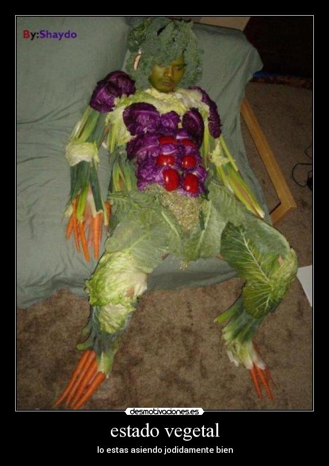 estado vegetal -