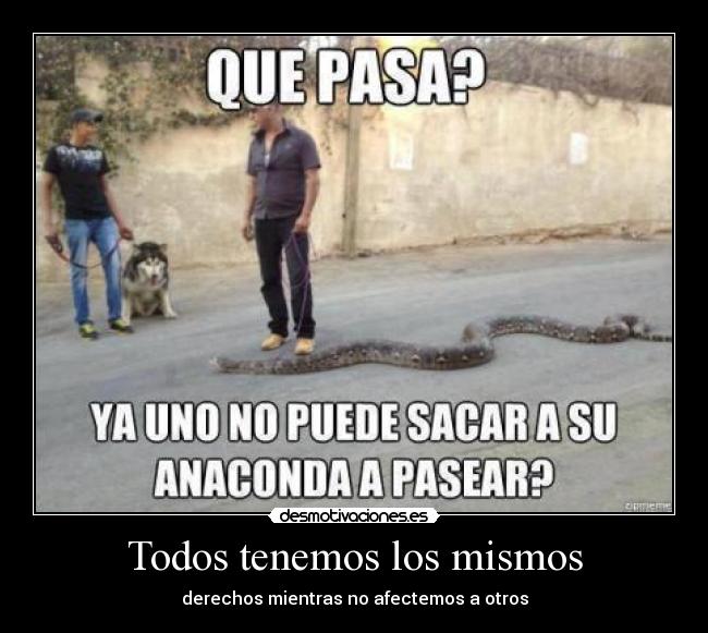 Todos tenemos los mismos - derechos mientras no afectemos a otros