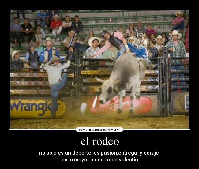 el rodeo - 