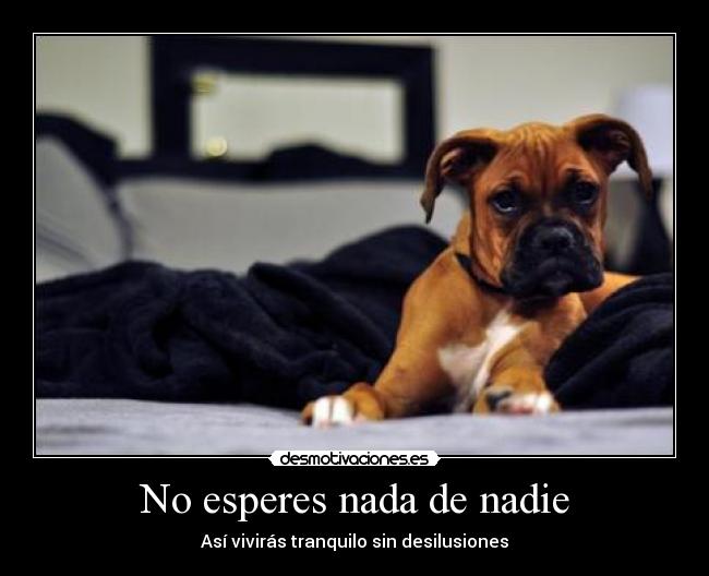 No esperes nada de nadie - Así vivirás tranquilo sin desilusiones