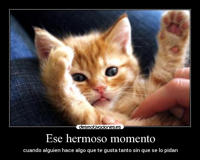 Ese hermoso momento - 