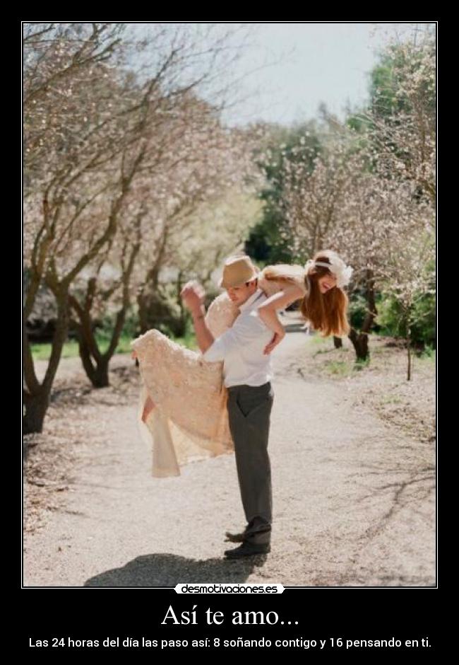 Así te amo... - Las 24 horas del día las paso así: 8 soñando contigo y 16 pensando en ti.