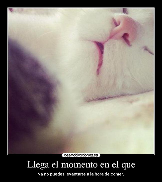 carteles iristello intruders puto invierno que poner pegueis desmotivaciones