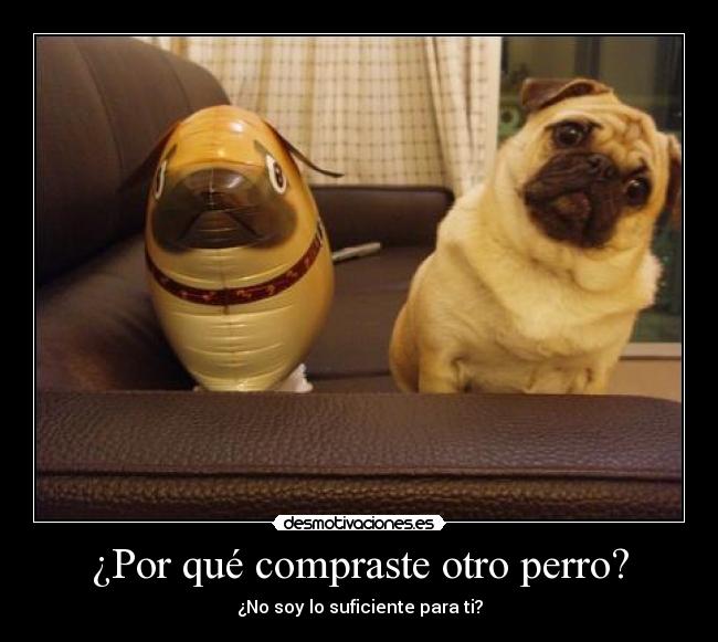 carteles eften perrosmolanmasquegatos desmotivaciones