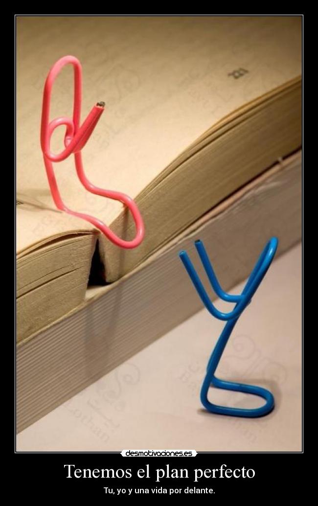 Tenemos el plan perfecto -