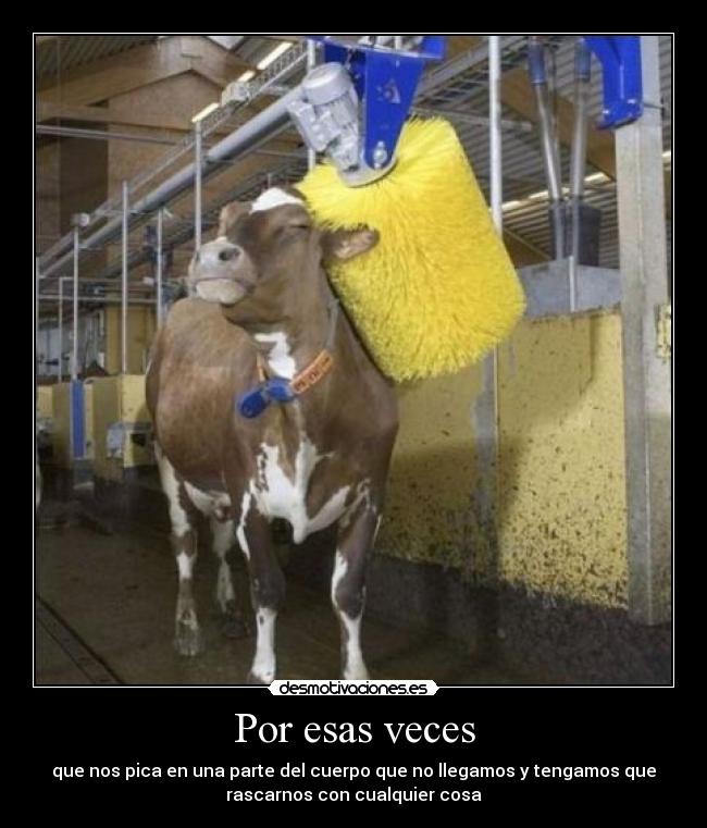 carteles the joker desmotivaciones