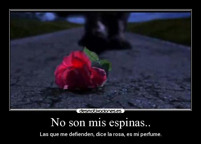 No son mis espinas.. - Las que me defienden, dice la rosa, es mi perfume.
