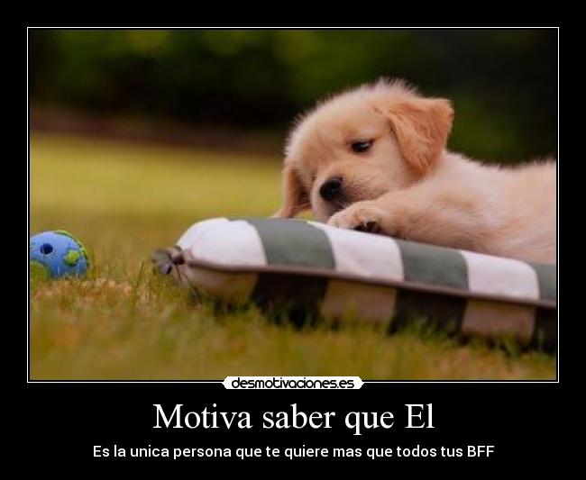 Motiva saber que El -